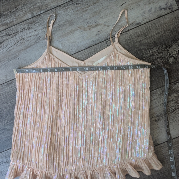 Anthropologie Pleated Ruffled Sequins Camisole Top Size 8 - Picture 8 of 9